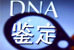 呼和浩特产前亲子鉴定如何做，呼和浩特怀孕亲子鉴定中心预约