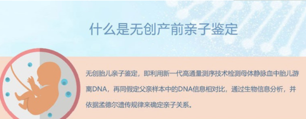 呼和浩特怀孕亲子鉴定流程,