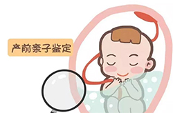 呼和浩特怀孕亲子鉴定如何做,呼和浩特孕期亲子鉴定结果到底准不准确 呼和浩特怀孕亲子鉴定如何做,呼和浩特孕期亲子鉴定结果到底准不准确