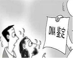 呼和浩特司法DNA亲子鉴定大概多少费用 呼和浩特司法DNA亲子鉴定大概多少费用